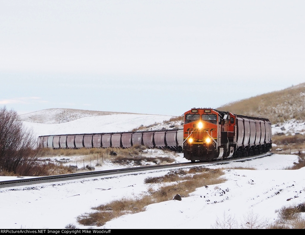 BNSF 3831